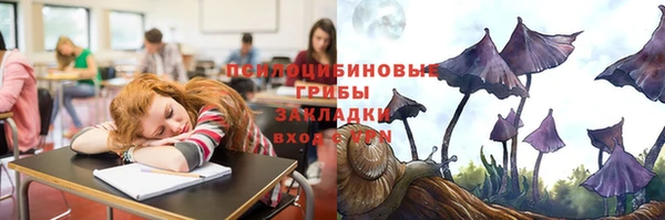 прущие крисы Верея