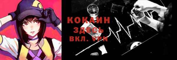 ГАЛЛЮЦИНОГЕННЫЕ ГРИБЫ Чегем