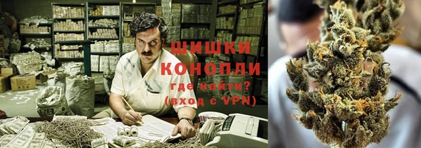 прущие крисы Верея