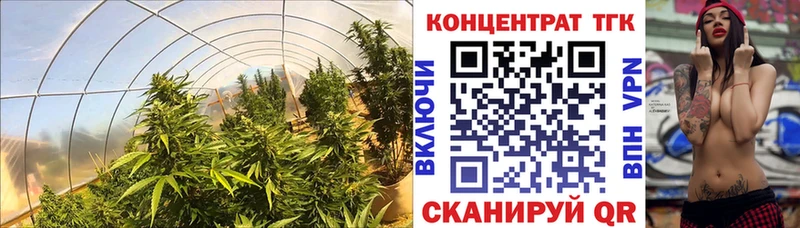 Дистиллят ТГК гашишное масло  Купить  Клинцы 