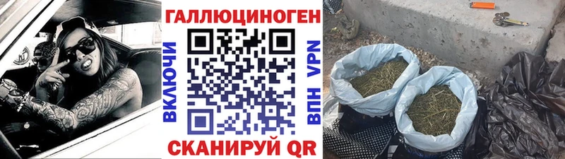 Купить где  Клинцы  Галлюциногенные грибы мухоморы 